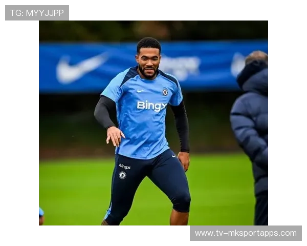 切尔西里斯·詹姆斯恢复训练见成效