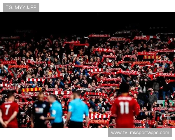 球队社媒粉丝数破百万品牌价值持续提升,哪个球队粉丝最多