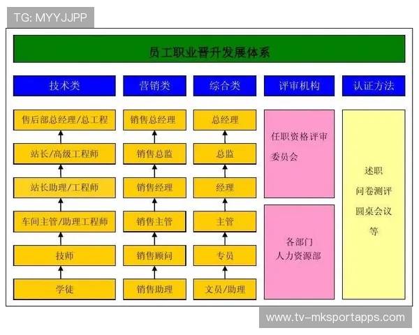 职业选手的职业生涯寿命管理